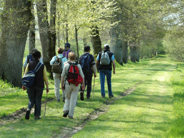 groupe marcheur